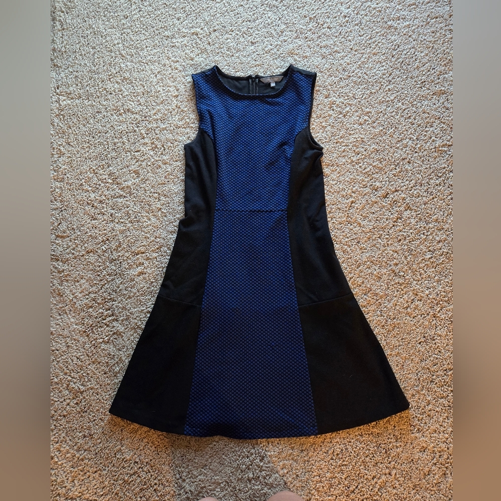 Daisy Fuentes Blue and Black Dot Dress